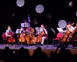 Tradiční koncert Vánoční hvězda zaplnil velký sál Besedy