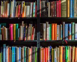 Žebříčku popularity ve zlínské knihovně dál vévodí české autorky