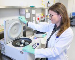 Vědci UTB vyvíjejí unikátní model lidského tenkého střeva. Může nahradit pokusy na zvířatech