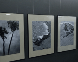 Městská galerie v Otrokovicích hostí minimalistické pohledy Jany Knapikové