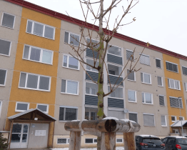 Uherské Hradiště vysadilo desítky nových stromů a keřů