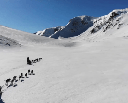 Opožděný Snow Film Fest lákal na osm filmů o dobrodružstvích a přírodě