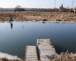Město Hodonín zná budoucí podobu břehů Staré Moravy