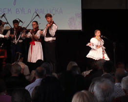 Uzávěrka přihlášek do soutěže Zazpívej, slavíčku je už ve středu