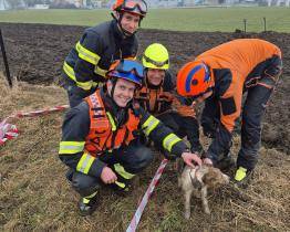 Šťastný konec záchrany chlupatého dobrodruha: Hasiči v Kroměříži vyprostili psa z betonové roury
