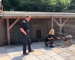 Zvířecí útulek v Jasenicích vylepšuje podmínky pro své chráněnce