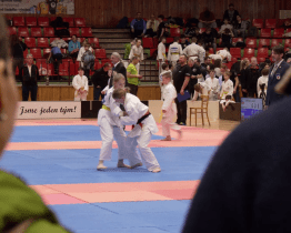 Judisté uspořádali Velkou cenu města Hluk