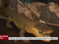V Muzeu Jana Amose Komenského se konala přednáška o predátorech