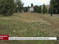 Město vybírá místa pro zachování vyššího travního porostu