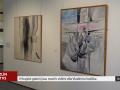 V krajské galerii jsou k vidění výtvory Vladimíra Vašíčka