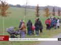 Lidé zasadili další stromy do aleje života