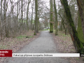 Pokračuje příprava Lesoparku Dúbrava