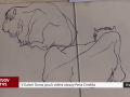 V Galerii Doma jsou k vidění obrazy Petra Čmelíka
