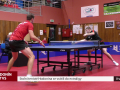 Stolní tenisté Hodonína se vrátili do extraligy