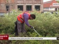 S úklidem města opět pomůže společnost Naděje