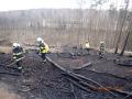 Silný vítr nadělal pořádnou paseku, hasiči zasahovali v průběhu celého dne