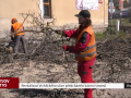 Revitalizaci Vrchlického ulice předcházelo kácení stromů