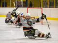 Sledge hokejisté Zlína zase obhajují mistrovský titul