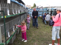 Lužice zažily Den kopce i výstavu králíků