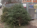 Ve městě začíná svoz vánočních stromků, potrvá do půlky února