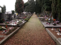 V plánu oprav chodníků je i hřbitov