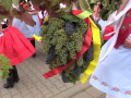 Chasa ve spolupráci s vinaři uspořádala tradiční vinobraní