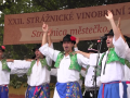 Lidé si užili víno i kulturu při Strážnickém vinobraní