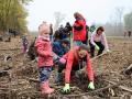 Zaměstnanci krajského úřadu vysadili stovky stromků 