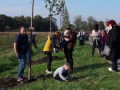 Sázení stromů života pokračovalo v Milokošti