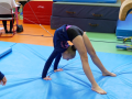 Mladé gymnastky předvedly na Novoveském čtyřboji své umění