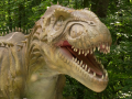 DinoPark ZOO Vyškov nabízí cestu do minulosti