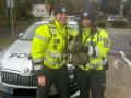 Mise byla úspěšná! Policistky zachránily zraněné káně ležící na dálnici