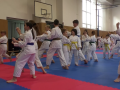 Akademie karate ve Valašském Meziříčí pořádala krajské kolo v tradičním karate