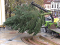 Vánoční strom letos do Hodonína doputoval z Rohatce