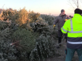 Vánoční stromky končí na nové skládce bioodpadu