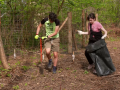Brodští gymnazisté opět zalesňují holiny po kůrovcové kalamitě 