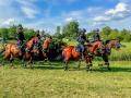 Policejní koně a další složky se předvedli na oslavách 100 let tlumačovského hřebčince