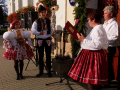 Devět krojovaných párů žádalo v Sušicích o povolení pořádání hodů