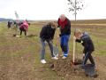 Obyvatelé Otrokovic vysadili v lokalitě Jaříč 58 nových ovocných stromů