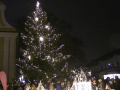 Rozsvícení vánočního stromu odstartovalo adventní čas v Hodoníně